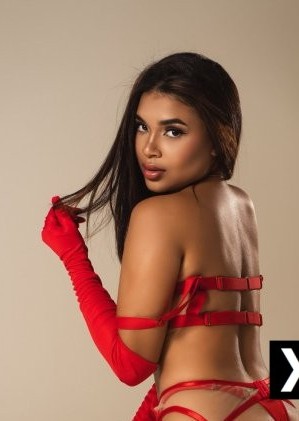 Cambridge | Escort Amy-25-286013-photo-2