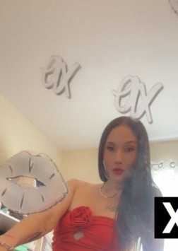 Brick | Escort Gigi-38-286907-photo-3