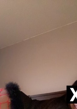 Burleson | Escort Star-22-286994-photo-2
