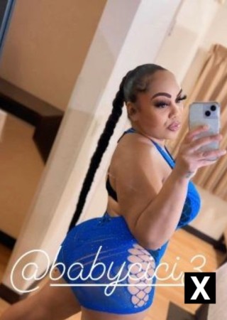 Gallatin | Escort CiCi-25-276416-photo-2