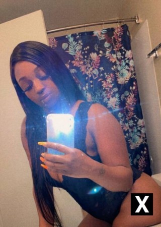 Santa Rosa | Escort Lashayy-30-274102-photo-2