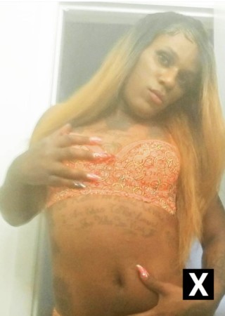 North Carolina | Escort Harmoni-37-275365-photo-3
