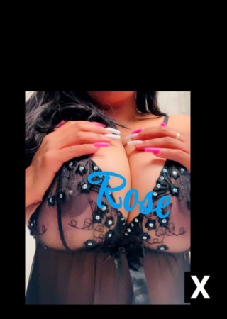 California | Escort Rose-28-274540-photo-11