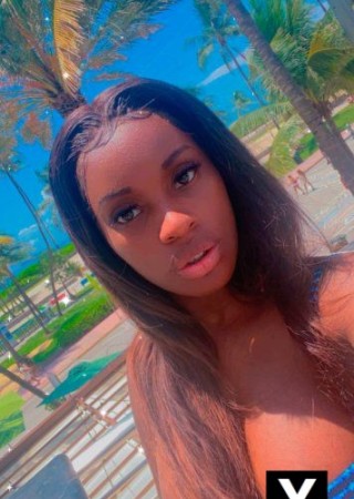 Macon | Escort Muffin-23-274831-photo-1