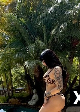 San Diego | Escort Kalii-25-287981-photo-7