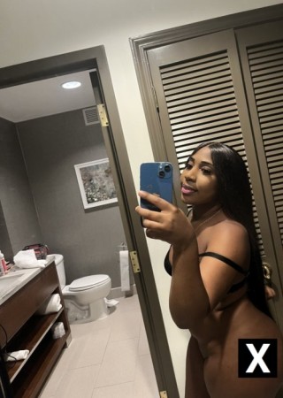 Lauderhill | Escort Taylor-21-250245-photo-5