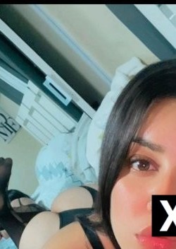 DeBary | Escort Gata-23-289022-photo-3
