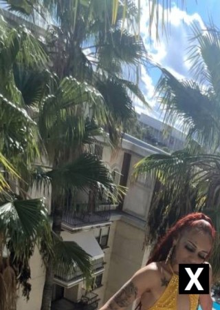 Palm Desert | Escort Zacud-24-277760-photo-2