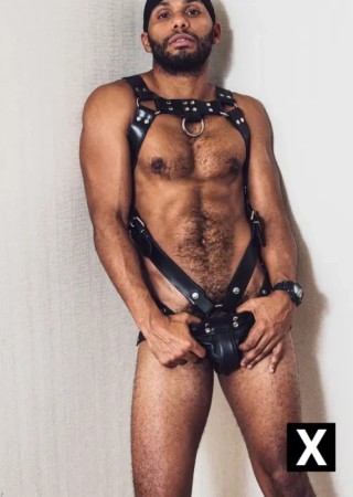 Los Angeles | Escort Tony-30-203025-photo-4