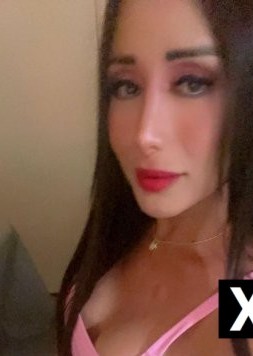 Los Angeles | Escort Andrea-27-285016-photo-1