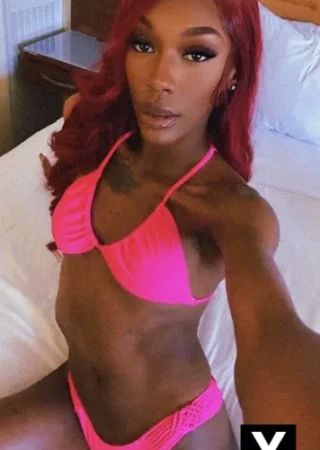 Orland Park | Escort Kira J-25-276347-photo-4