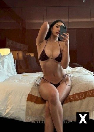 Newport | Escort ivy-24-277490-photo-3