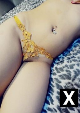 Campo Grande | Escort STÉFANY SILVA-27-224154-photo-7