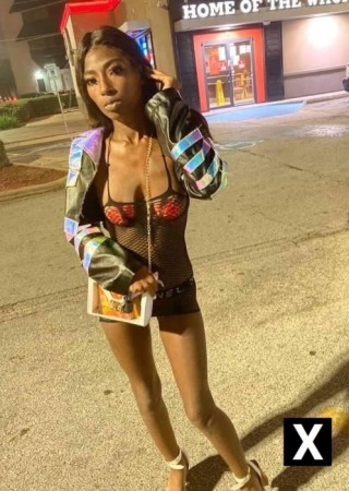Colorado Springs | Escort Amil-25-273804-photo-1
