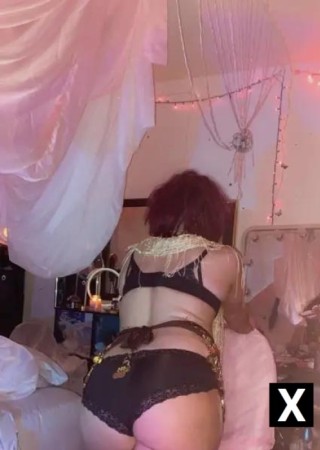 Gladwin | Escort Ariana-34-254566-photo-3