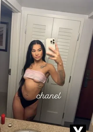 Goodyear | Escort Ryver-25-273296-photo-4