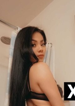 Phoenix | Escort Sophia-24-267361-photo-1