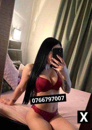 Oradea | Escort Andreea!!!-24-228125-photo-4