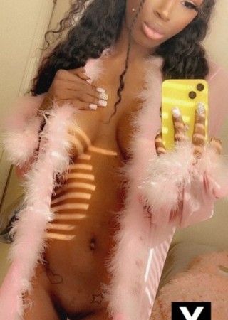 Orlando | Escort Lala-25-276456-photo-2