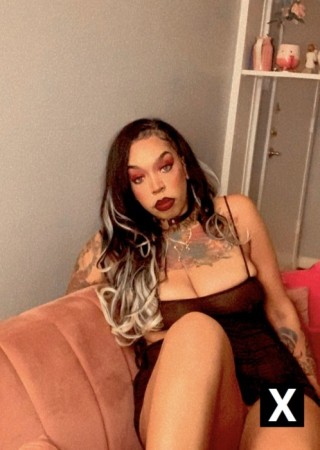 Houston | Escort Brianna Devereaux-29-274788-photo-11