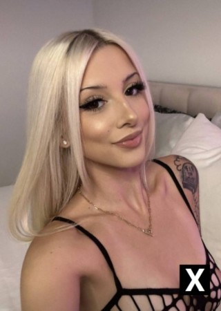 Friendswood | Escort Toressz-28-273067-photo-1