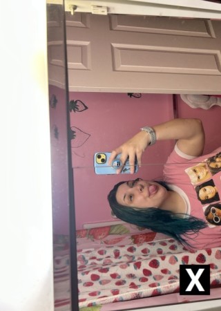Springfield MA | Escort Juniper-25-274696-photo-9