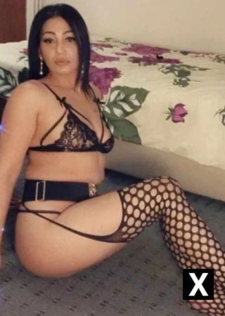 Newbridge | Escort Catalina-27-276246-photo-3
