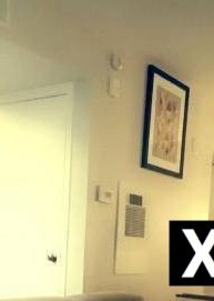 Texas | Escort Bunnie-22-282284-photo-9