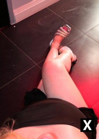 Toronto | Escort Nicole-35-277131-photo-5