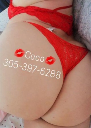 Ocala | Escort Coco-39-206579-photo-4