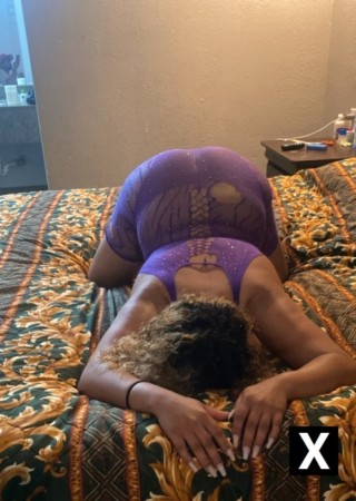 Dallas | Escort Tweety-26-275519-photo-6