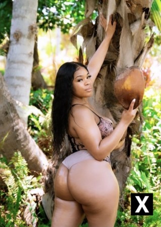 Newton | Escort Luna-23-276106-photo-1