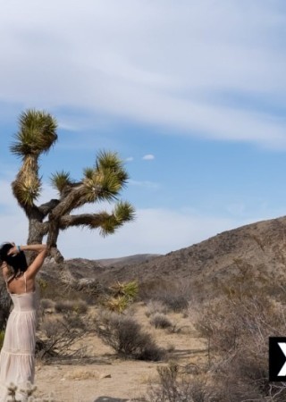 Tempe | Escort Nevada Reine-44-285522-photo-6
