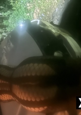 Atlantic City | Escort Ivythewifey-39-280996-photo-2
