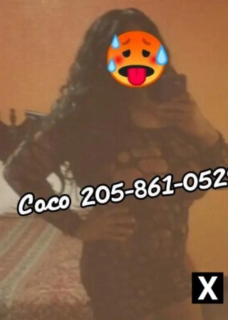 Montevallo | Escort coco-29-247486-photo-5