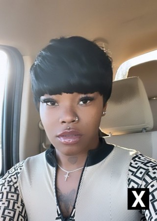 Memphis | Escort PhatCat-27-275059-photo-1