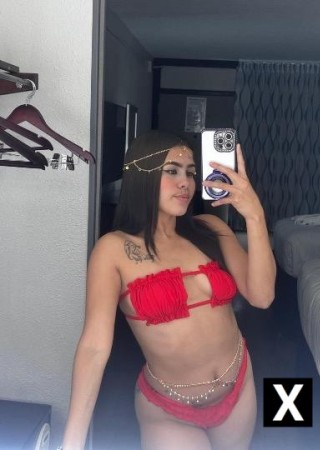 Hallandale Beach | Escort DULCE-25-261695-photo-3