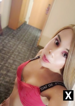 San Francisco | Escort Samantha Rose-22-216602-photo-3
