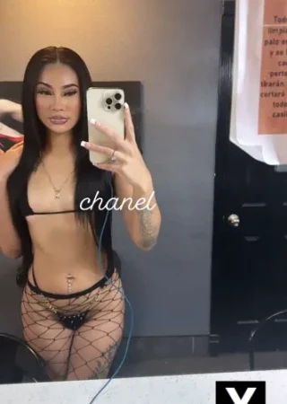 Goodyear | Escort Ryver-25-273296-photo-3