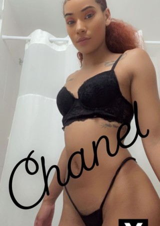 Ann Arbor | Escort chanelbeenher-24-190364-photo-3