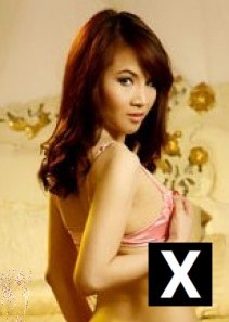 Westminster | Escort Asian-Escort-Jodie-26-82528-photo-1