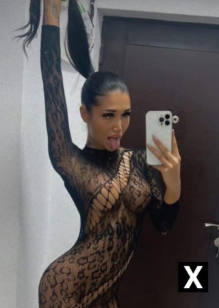 Los Angeles | Escort Ayssel-24-271669-photo-7