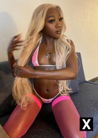 Lauderhill | Escort Wynter-25-274317-photo-5