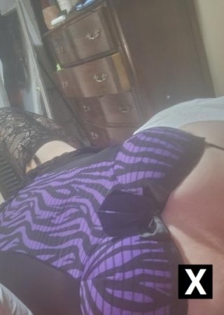 Kitchener | Escort BBW-47-192289-photo-3