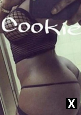 Raleigh | Escort Cookie-22-140673-photo-3