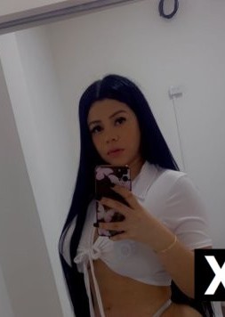 Lexington | Escort Genesis-26-277264-photo-4