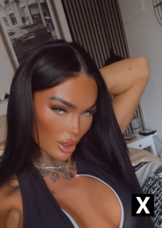 Sheffield | Escort Khloe rose-25-277552-photo-12