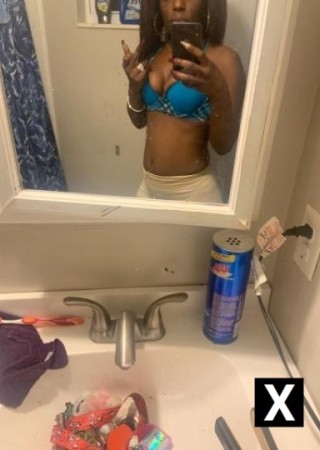 Gainesville | Escort Biddy-28-184437-photo-2