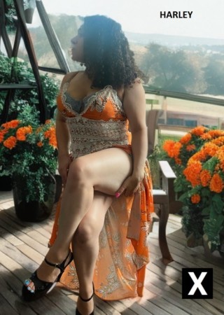 Cherry Hill | Escort Mistress Harley QD-24-104505-photo-6