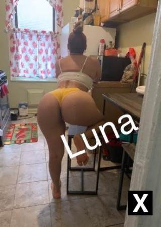 Bronx | Escort Luna-23-181543-photo-4